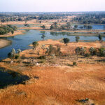 Delta Okavango (Okavango Delta, Botswana od Carine06 / CC BY-SA 2.0)