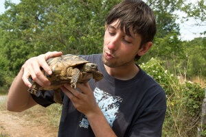 Jirka Hošek - Záchrana želvy na silnici v Albánii