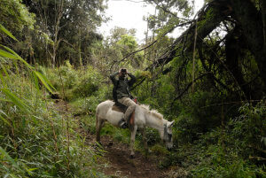 Práce na sběru dat v lese nedaleko Bogoty. Kolumbie