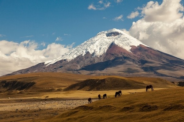 Expedice Ekvádor - srpen 2022