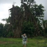 Posvátný strom, Indonésie, a prší a prší