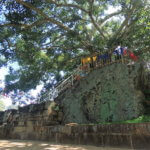 Posvátný Buddhův strom v Anuradhapura