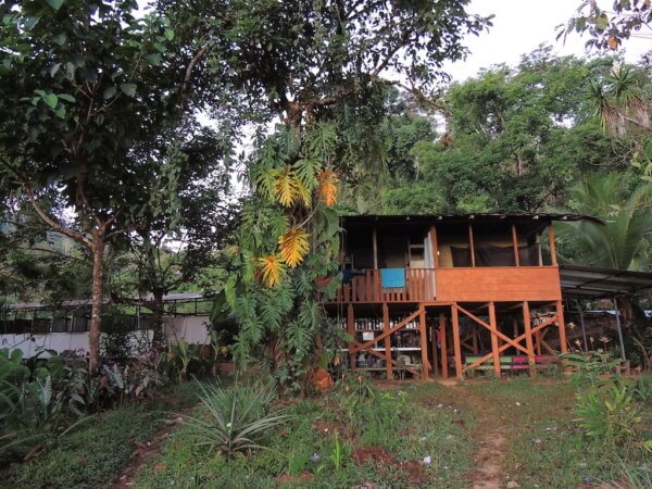 Hostel uprostřed džungle