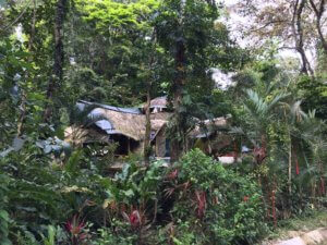 Ubytování v Manzanillu - dřevěný dům v džungli