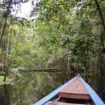 Výlety po deštném pralese na malých loďkách