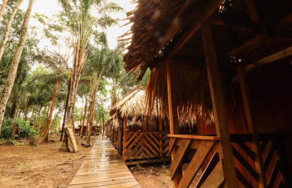 Domečky pro ubytování v lodgi v pralese