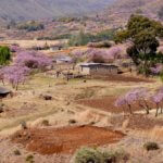 Vesnice v Lesothu