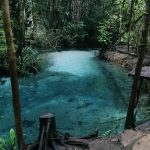 Sladkovodní vyvěračka Kali Biru - Modrá řeka
