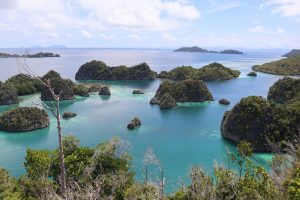 Expedice Indonésie - Sulawesi a Západní Papua - prosinec 2021 / leden 2022