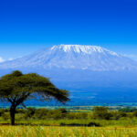 Savana a zasněžený vrchol Kilimandžára