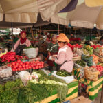 Nákup ovoce a zeleniny na trhu v hlavním městě Biškeku