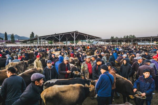 Každou neděli se ve městě Karakol odehrává jeden z největších trhů se zvířaty ve střední Asii