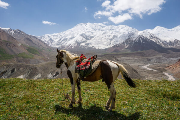Součástí expedice je i jízda na koni v podhůří třetího nejvyššího pohoří světa Pamíru
