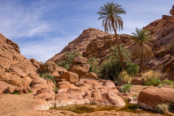 Ač většinu Saudské Arábie zabírají pouště, najdete zde takzvaná wadi, což jsou údolí oplývající životem a zelení